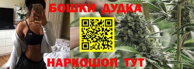 индика Баксан