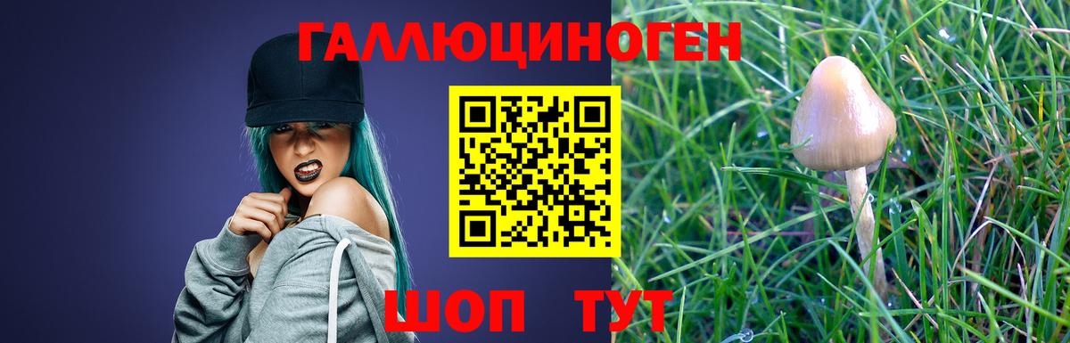 Ижевск  Галлюциногенные грибы MAGIC MUSHROOMS  Вход с VPN  Галлюциногенные грибы Psilocybe 